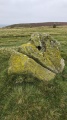 Mitchell's Fold - PID:280547
