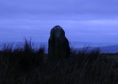 Mitchell's Fold