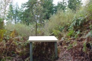 Nesscliffe - PID:9833