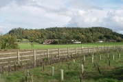 Nesscliffe - PID:9821
