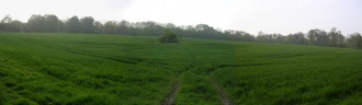 Norton Camp (Shropshire)