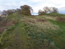 Burrow Hill Camp (Shropshire)