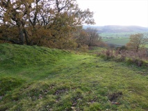 Burrow Hill Camp (Shropshire)