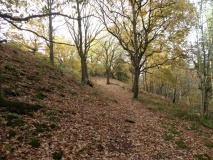 Pontesford Hill