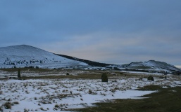 Mitchell's Fold