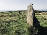 Mitchell's Fold - PID:218007