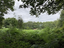 Callow Hill Camp