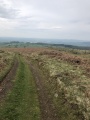 Middleton Hill - PID:288627