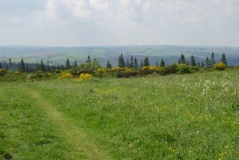 Bury Ditches (Shropshire)