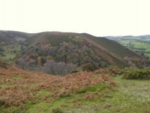 Castle Ring (Stiperstones)