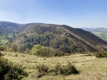 Castle Ring (Stiperstones)