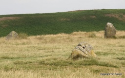 Mitchell's Fold