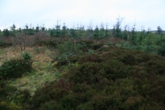 Selattyn Hill Ring Cairn