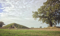 Soulton Long Barrow - PID:198696