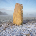 Soulton Long Barrow - PID:198698