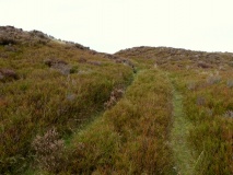 Castle Ring (Stiperstones)