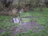 Boiling Well (Ludlow) - PID:101916