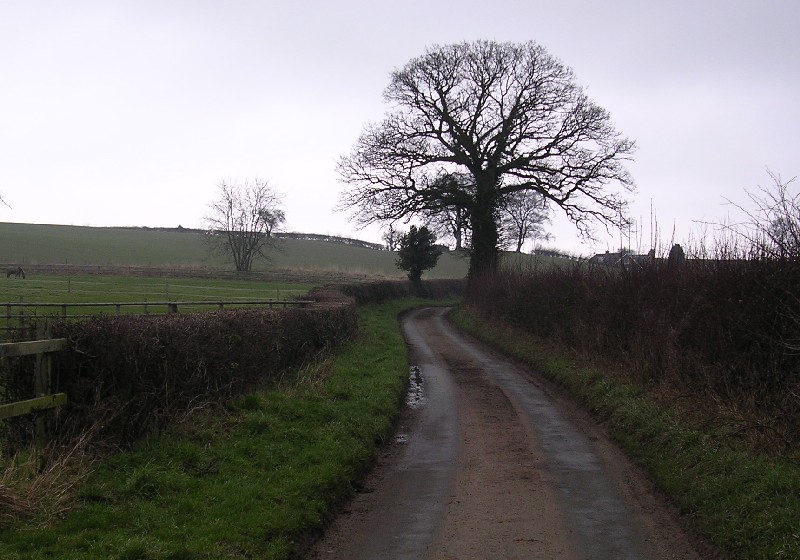 Hoar Stone (Welshampton)