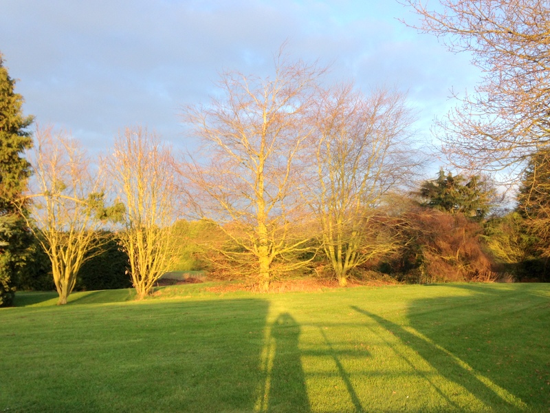 Pave Lane Hillfort