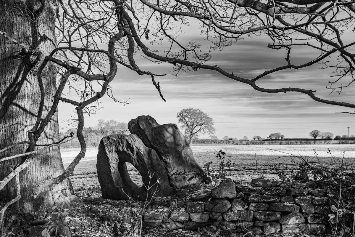 Click for the gallery page to add comments and vote (PID:252150) Devil's Ring and Finger