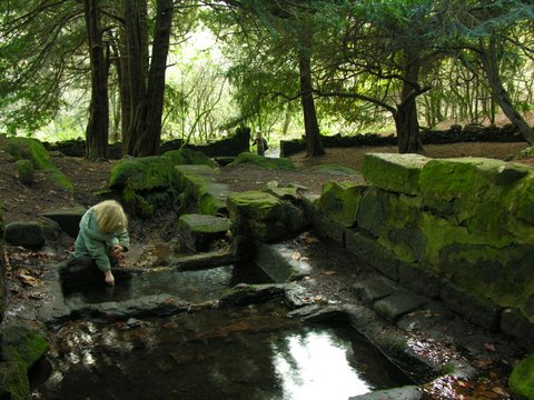 Gawton's Well