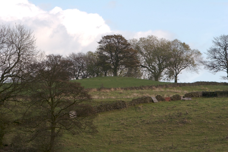 Click for the gallery page to add comments and vote (PID:34573) Rye Low