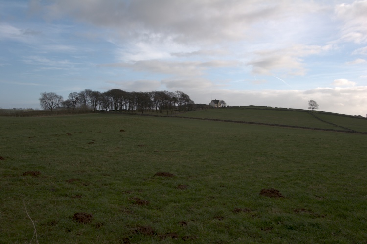 Click for the gallery page to add comments and vote (PID:36336) Beechenhill Barrow 2