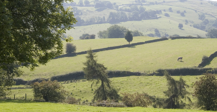 Brown Low (staffs)