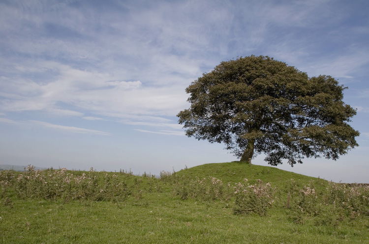 Click for the gallery page to add comments and vote (PID:24016) Grindon Moor Barrow