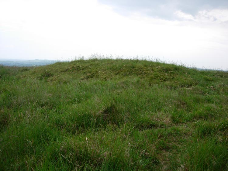 Click for the gallery page to add comments and vote (PID:30376) Merryton Low 2