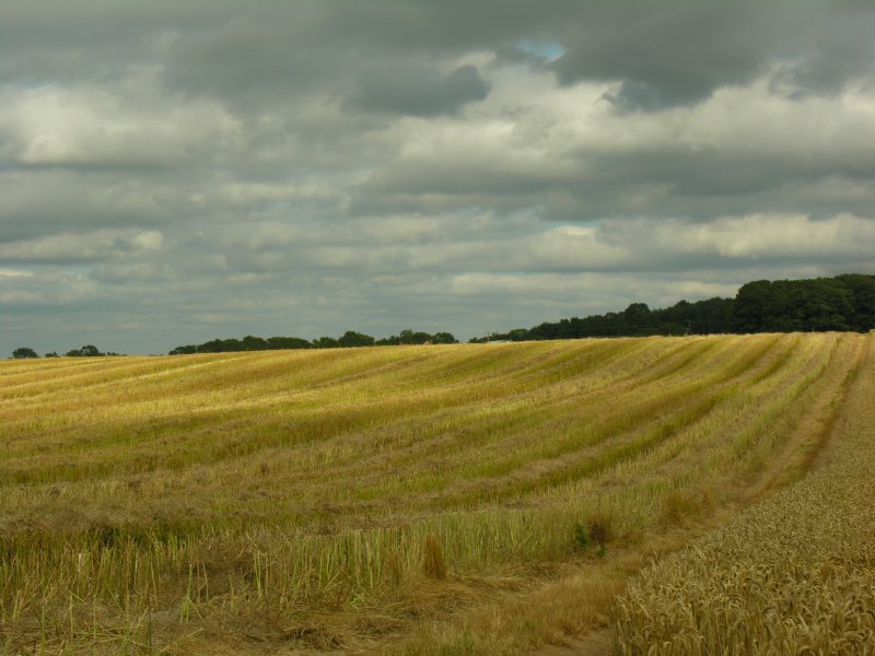 Click for the gallery page to add comments and vote (PID:32061) Boltstone