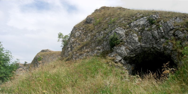 Elder Bush Cave
