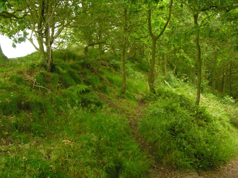 Click for the gallery page to add comments and vote (PID:32059) Kinver
