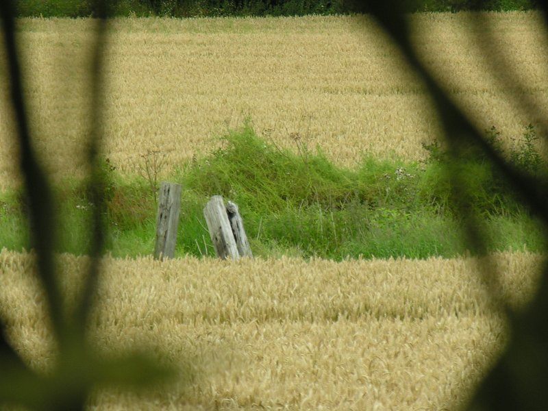 Click for the gallery page to add comments and vote (PID:32058) St Edith's Well (Church Eaton)