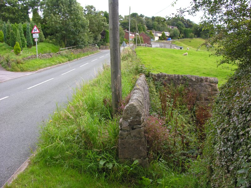Click for the gallery page to add comments and vote (PID:32393) St Helen's Well (Rushton Spencer)