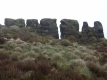 The Roaches