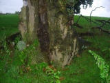 Nun's Well (Cannock Wood)