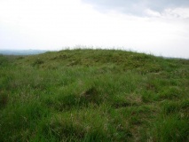 Merryton Low 2