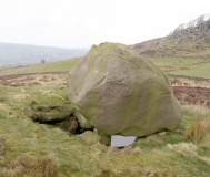 The Roaches