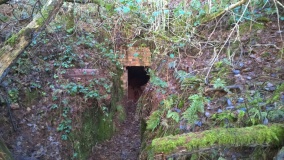 Berth Hill