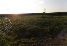 Butley Barrow - PID:222218 Butley Barrow - PID:222218