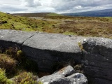 Course Stone Edge Ark - PID:229303
