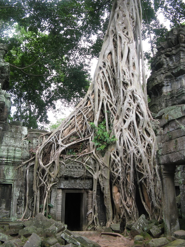 Ta Prohm