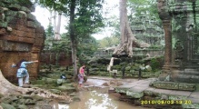 Ta Prohm - PID:69788