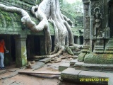 Ta Prohm - PID:69791