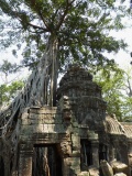 Ta Prohm