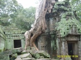 Ta Prohm - PID:69787
