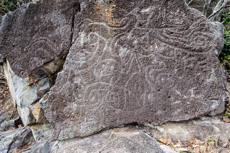 Cape Collinson Rock Carving