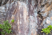 Kau Sai Chau Rock Carvings - PID:170427