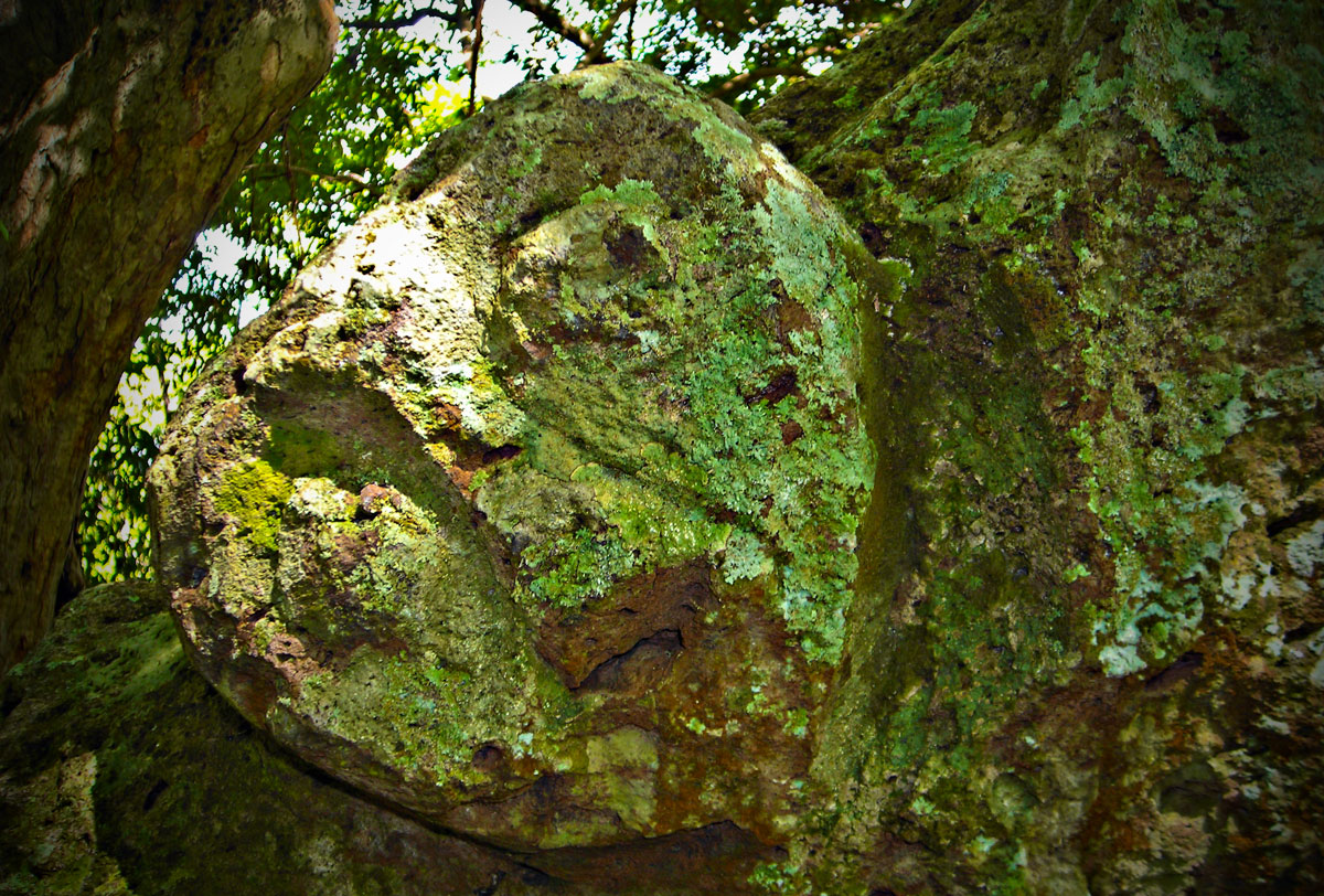 Temang Dongan Rock Cut Tombs